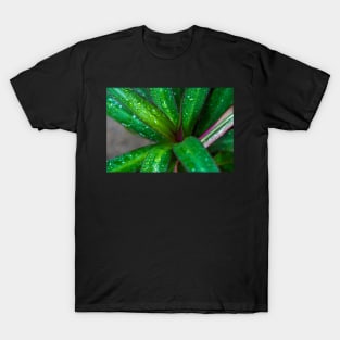 GREEN LEAVES T-Shirt